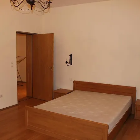 Central Spacious Apartament *