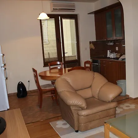 Central Spacious Apartamento Sofía